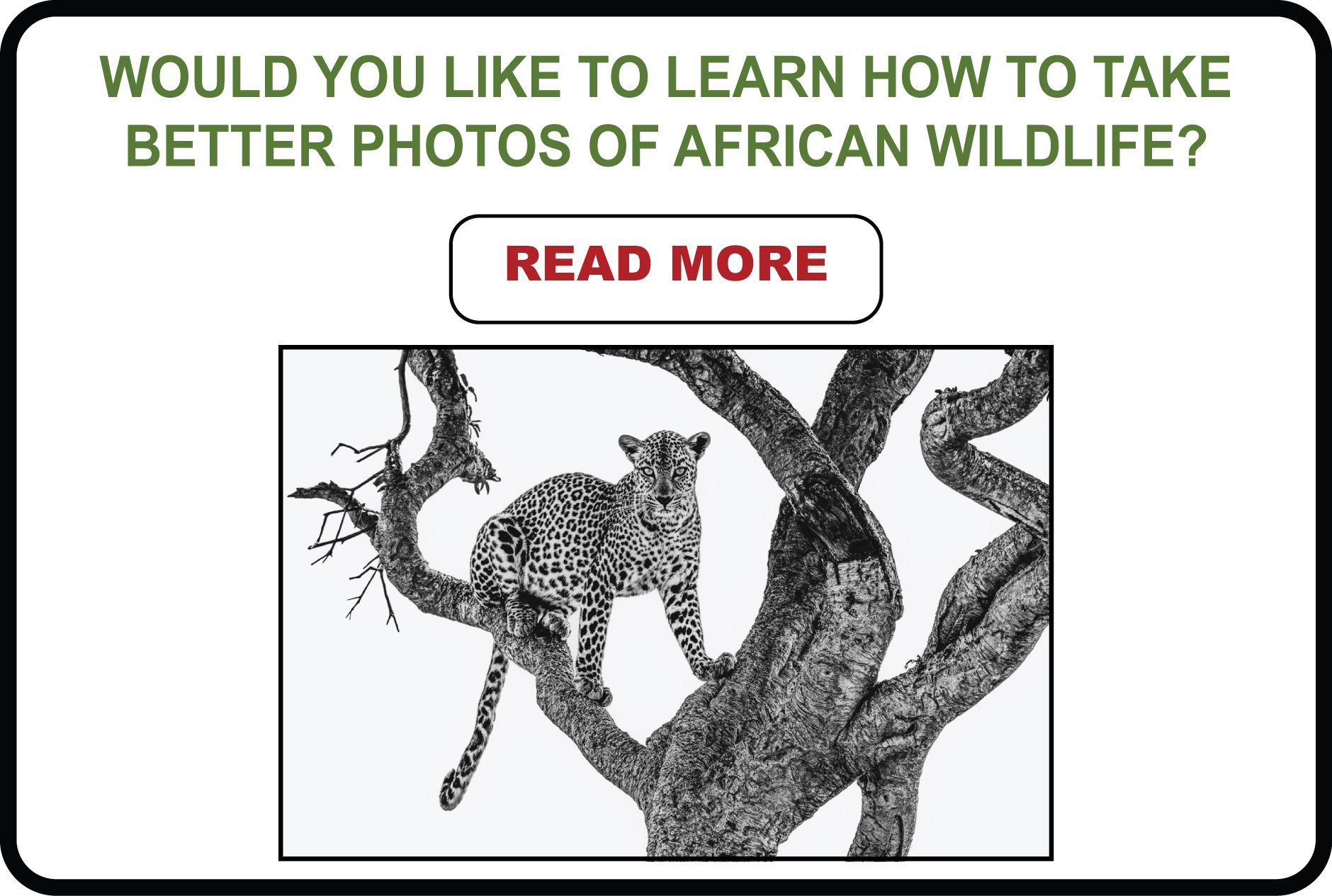 Learn how to take better photos