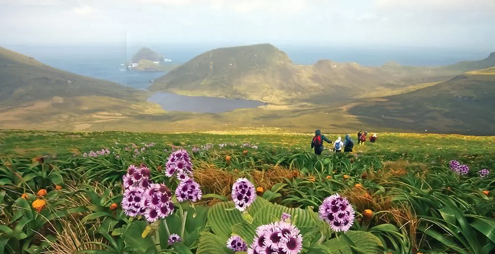 Subantarctic_photo_workshop_19_2023
