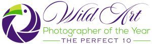 WildArt