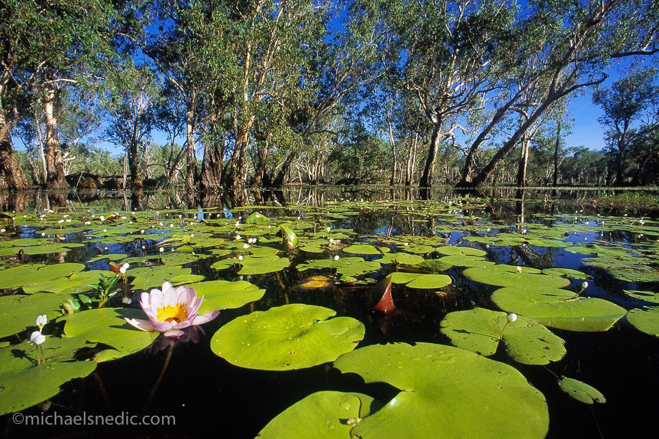 Yellow Waters Kakadu NP NT