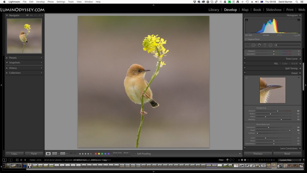 lightroom screenshot