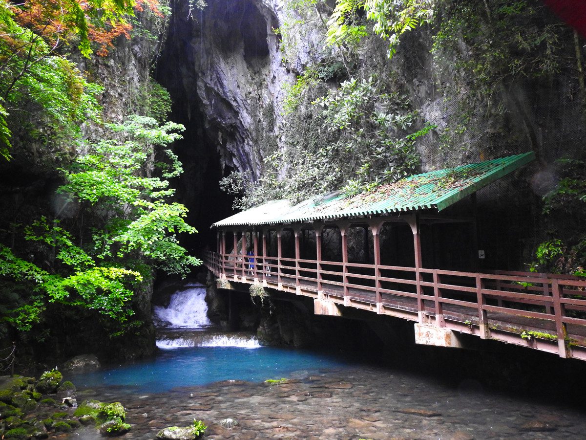 Cave Tina Todd