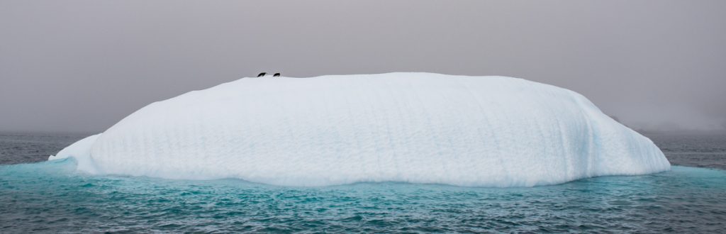 Antarctic ice