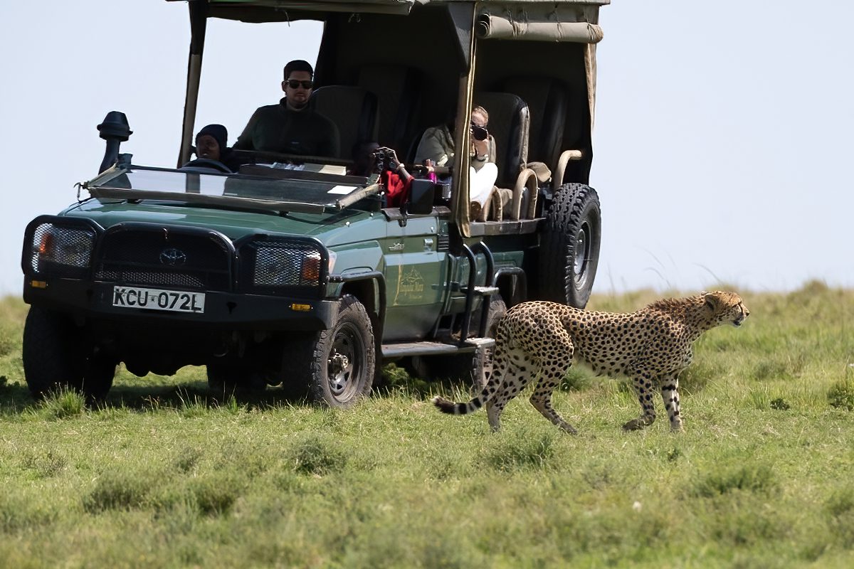 Close encounter