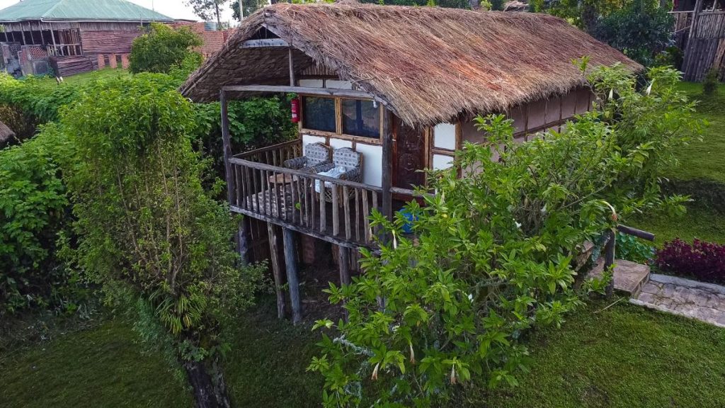 Gorilla Mist Camp