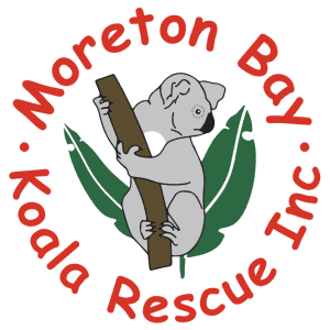 Moreton Bay Koala Rescue