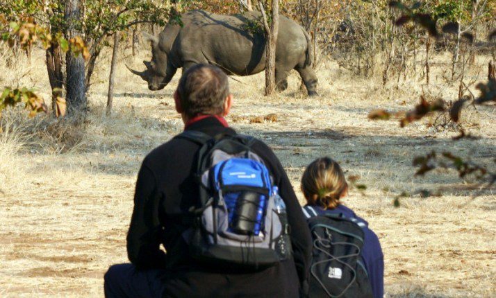 Rhino Walk
