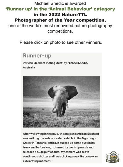 Runner up - Nature TTL 2022