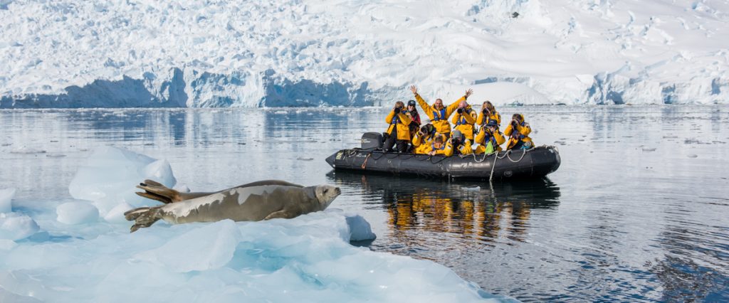 Seal encounter