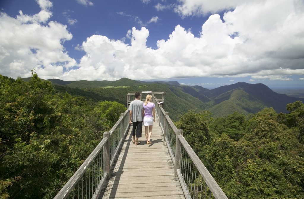 Skywalk, Dorrigo NP