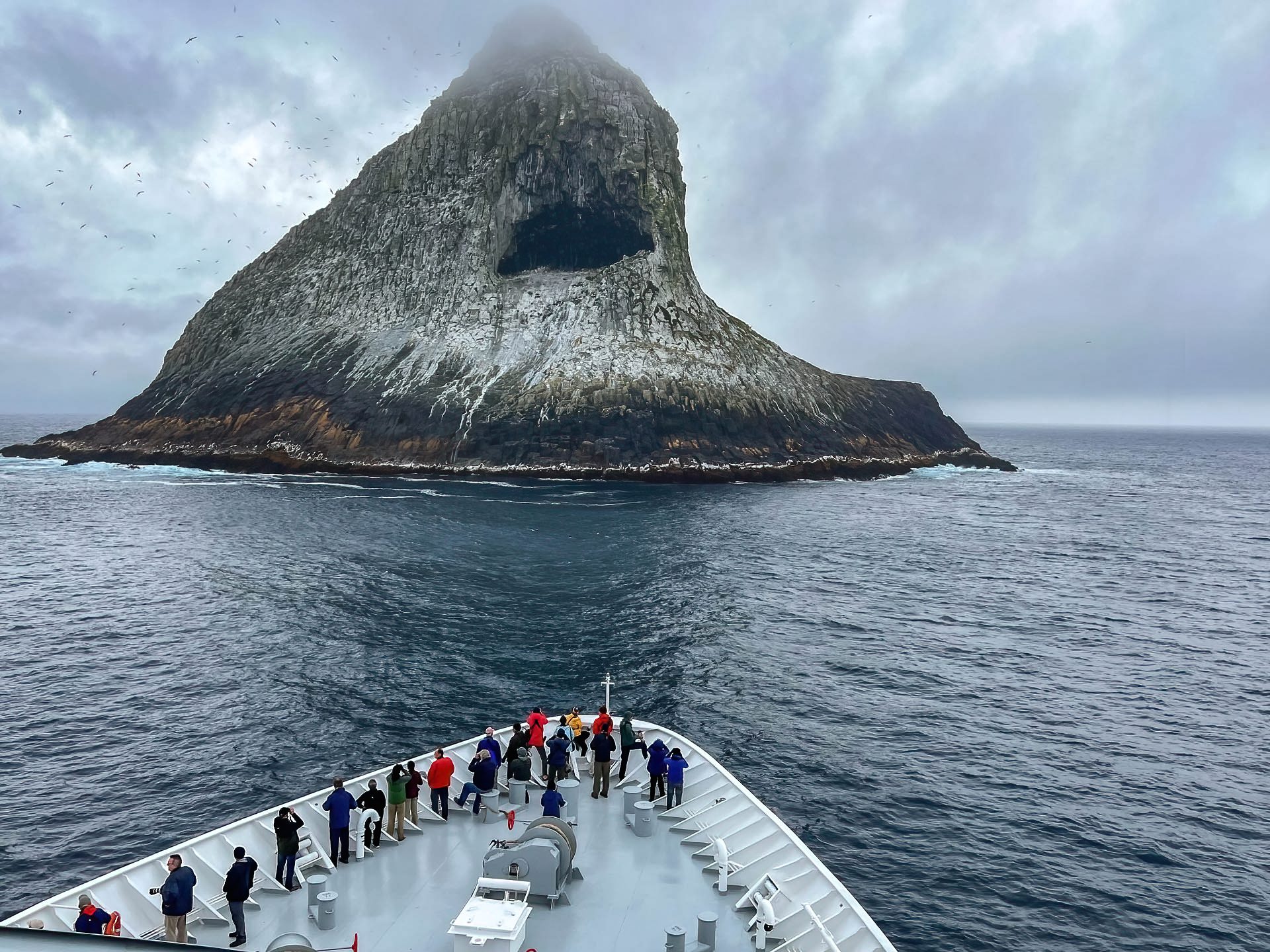 photo by Katya Ovsyanikova Subantarctic Birding_J_Mishina