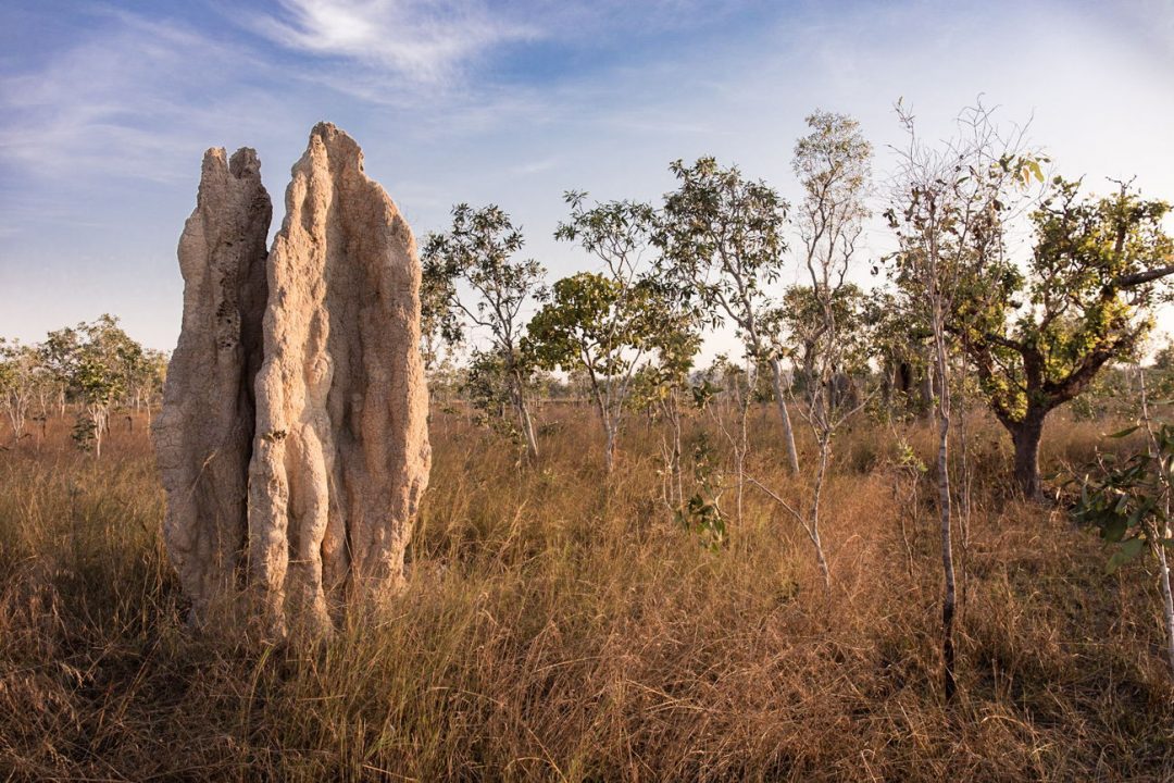 Top End