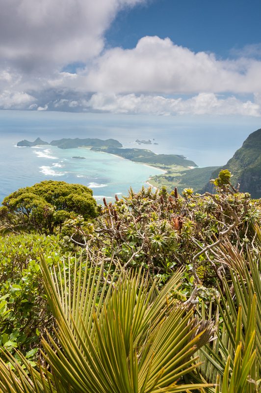 View from Mt Gower