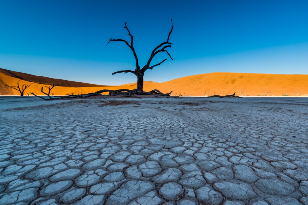 Landscape with cracked earth and blue sky Landscape with cracked earth and blue sky