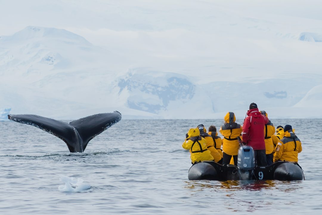 People in boat with whale People in boat with whale