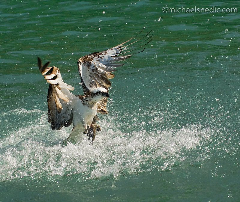 Ipswich Photographic Society Photo Convention