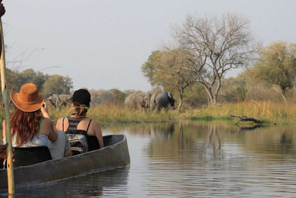 sango-safari-camp-Mokoro Elephant